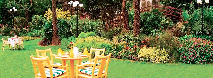 2387/Hotel Hillock - Mount Abu 16.jpg